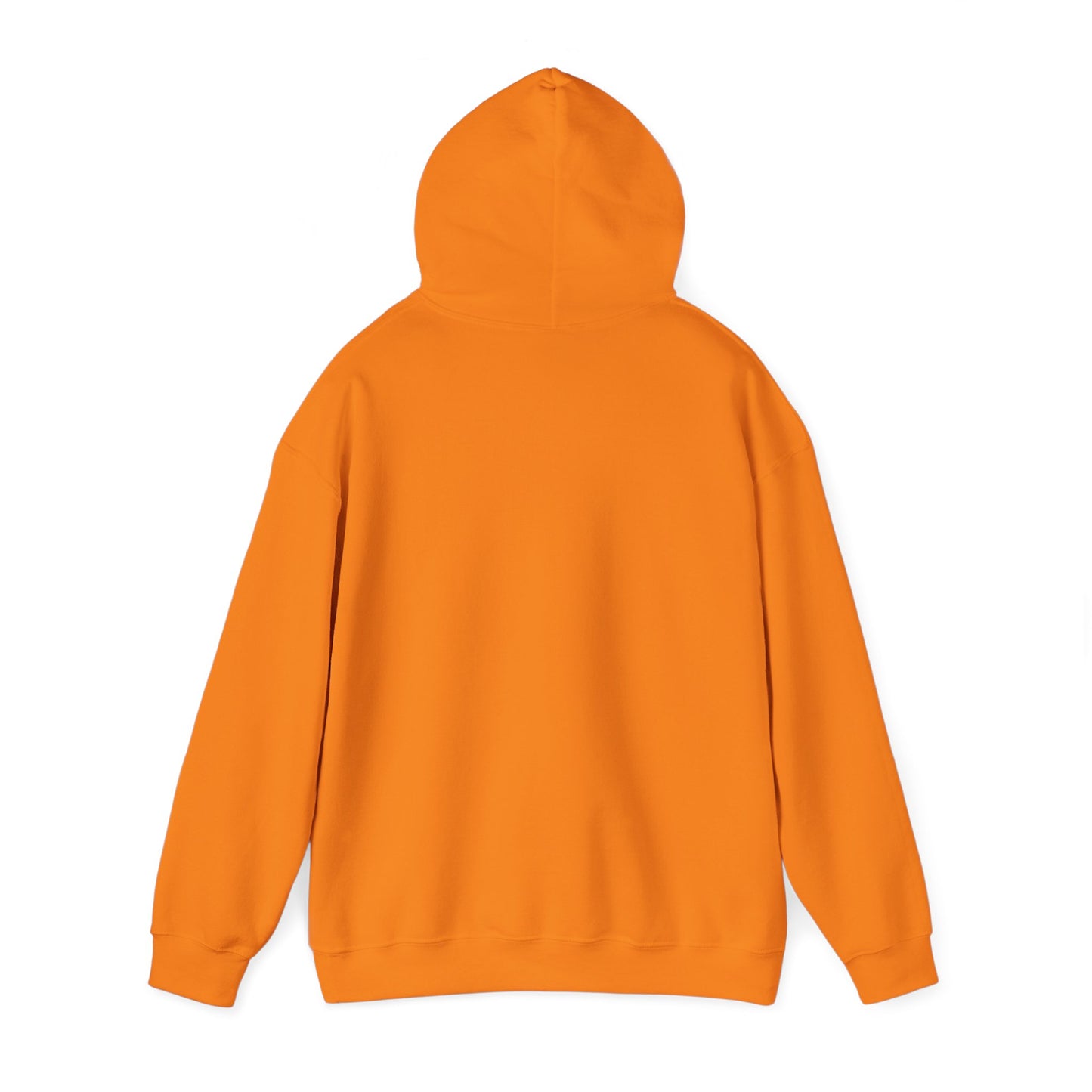 Sushi Lovers-Cute Panda Eating Noodles Unisex Hoodie – Cozy & Fun Design