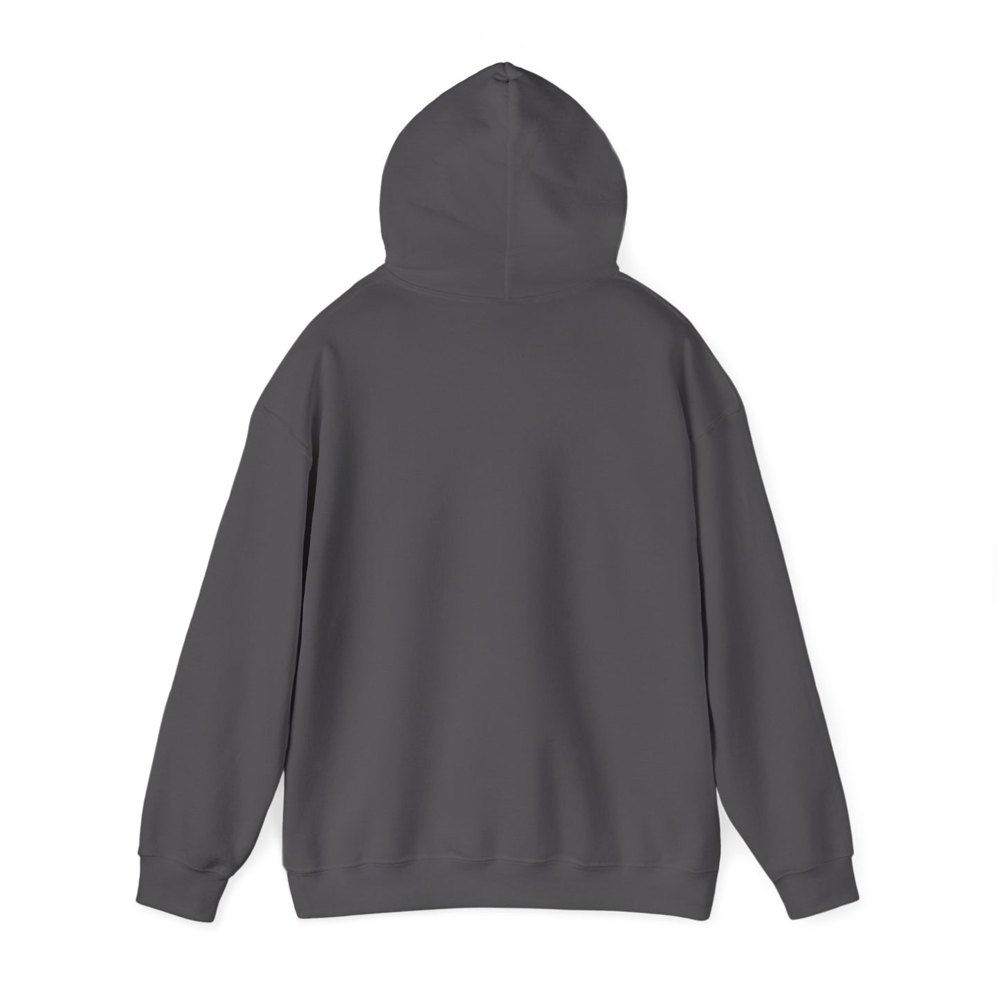 Sushi Lovers-Cute Panda Eating Noodles Unisex Hoodie – Cozy & Fun Design