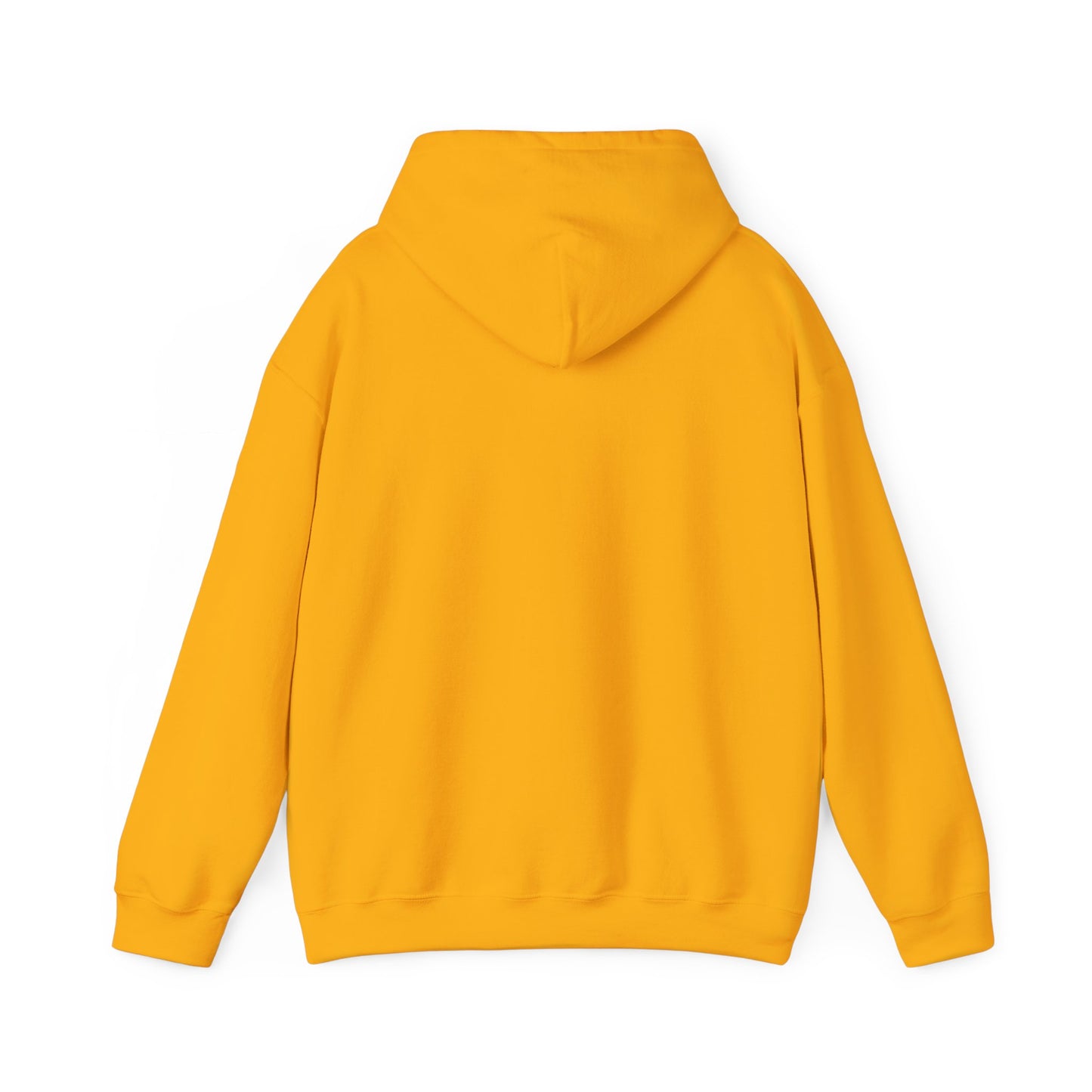 Sushi Lovers-Cute Panda Eating Noodles Unisex Hoodie – Cozy & Fun Design